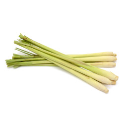 CITRONNELLE BATON SEREH 2KG